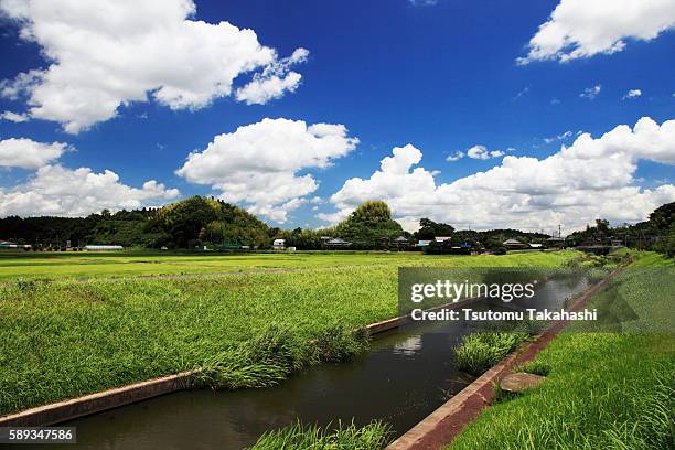 rural scene, chiba prefecture, honshu, japan - narita stock pictures, royalty-free photos & images