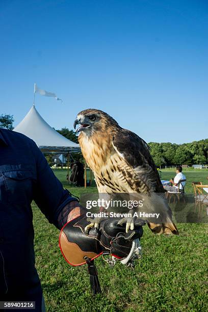 Atmosphere at the 10th Annual Get Wild Summer Benefit on August 13, 2016 in Bridgehampton, New York.