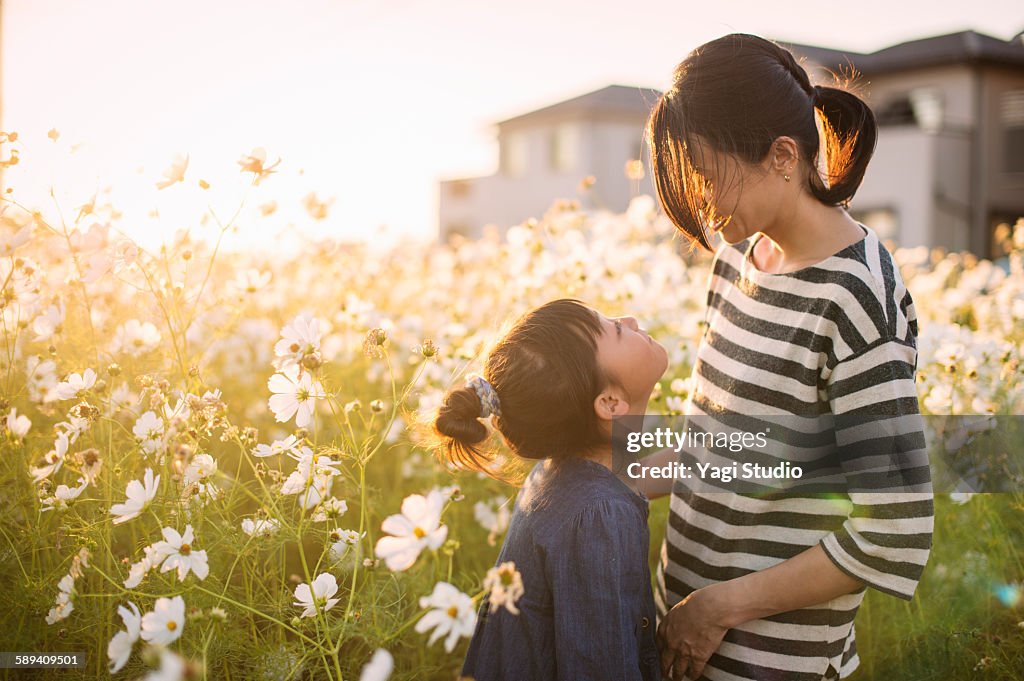 Mother and daughter are in the cosmos field