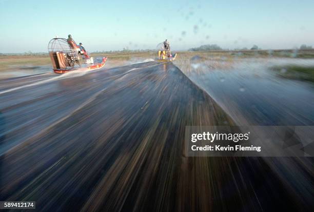 airboaters in everglades - airboat stock pictures, royalty-free photos & images