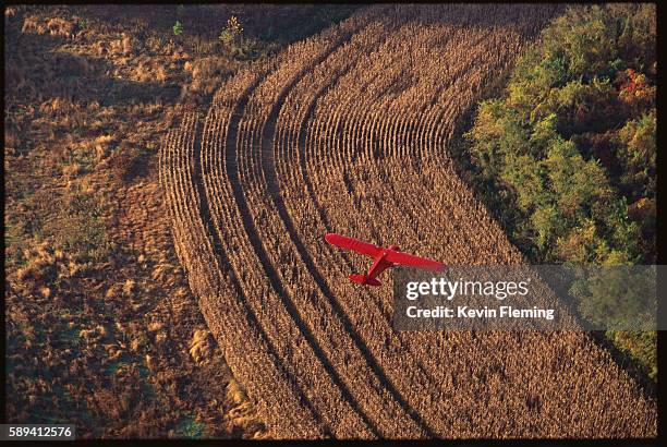 propeller aircraft flying over field - small plane stock pictures, royalty-free photos & images