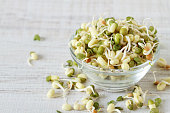 Raw food : bean sprouts