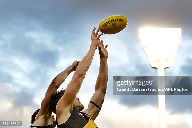 Shaun Hampson of the Tigers marks the ball during the round 21 AFL match between the Richmond Tigers and the Geelong Cats at Melbourne Cricket Ground...