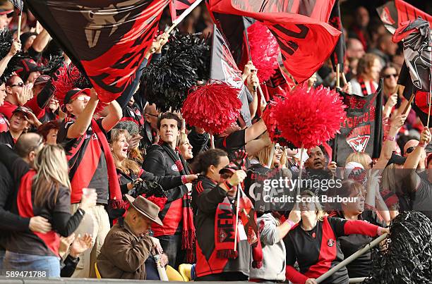 Bombers supporters in the crowd celebrate winning at the final siren during the round 21 AFL match between the Essendon Bombers and the Gold Coast...