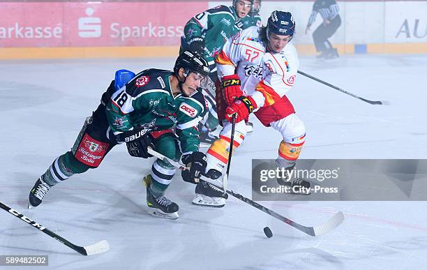 Leopold Tausch of the Starbulls Rosenheim and Daniel Weiss of the Duesseldorfer EG during the test match between the Starbulls Rosenheim and the...