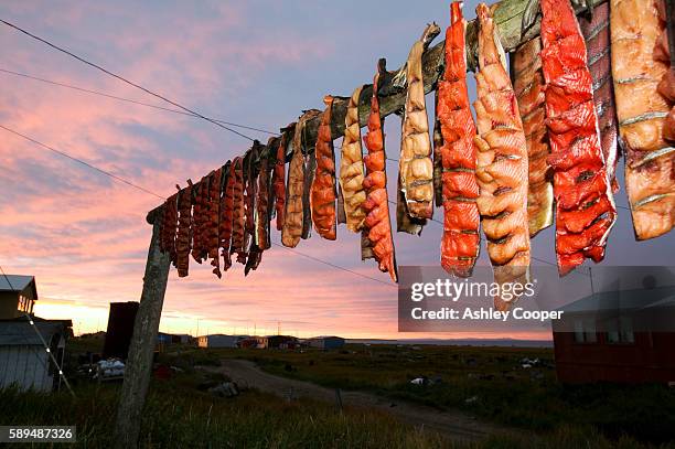 Alaskan Fish Rack 472 Carbon Sink Stock Photos, High-Res Pictures, and Images - Getty Images