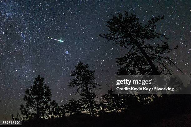 2016 perseid meteor fireball streaks above pine trees - perseidas fotografías e imágenes de stock