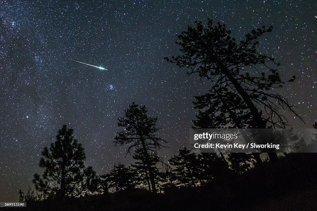 2016 Perseid Meteor Fireball Streaks Above Pine Trees