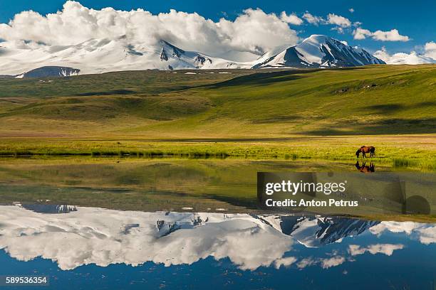 reflection of mountains in the lake - montagnes altaï photos et images de collection