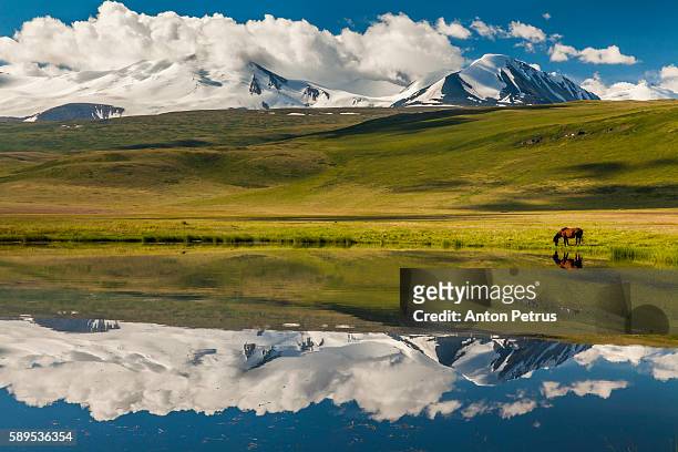 reflection of mountains in the lake - altai mountains stock pictures, royalty-free photos & images