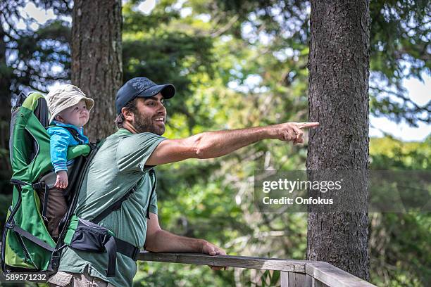 father backpacking hiking with baby in forest - baby hands pointing stock pictures, royalty-free photos & images