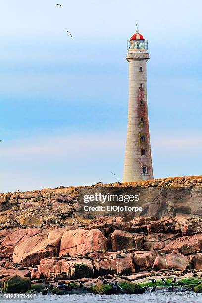 isla de lobos lighthouse, punta del este, uruguay - punta del este stock-fotos und bilder