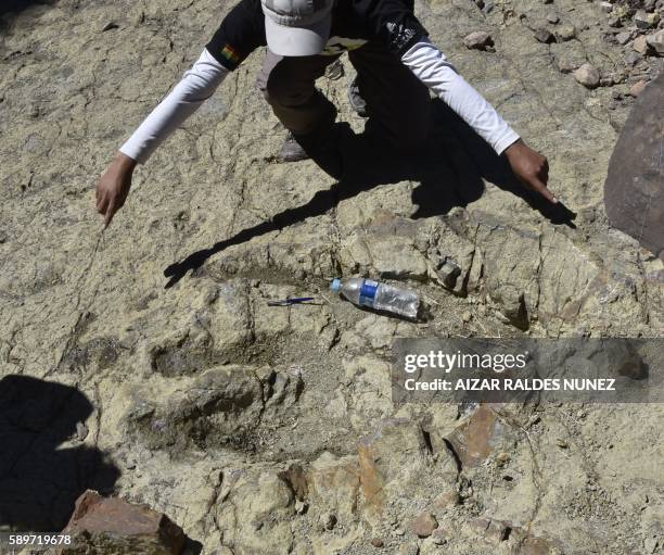 Metre diameter footprint of a dinosaur found in Maragua Marka Quila Quila, 64 km northeast of Sucre, Bolivia, on August 8, 2016. - According to...