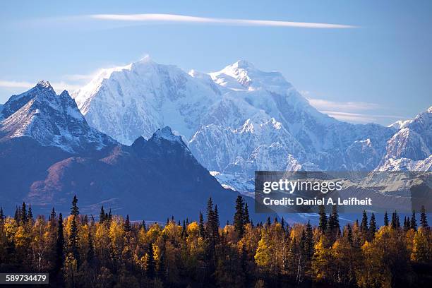 mountains and fall colors - denali nationalpark stock-fotos und bilder