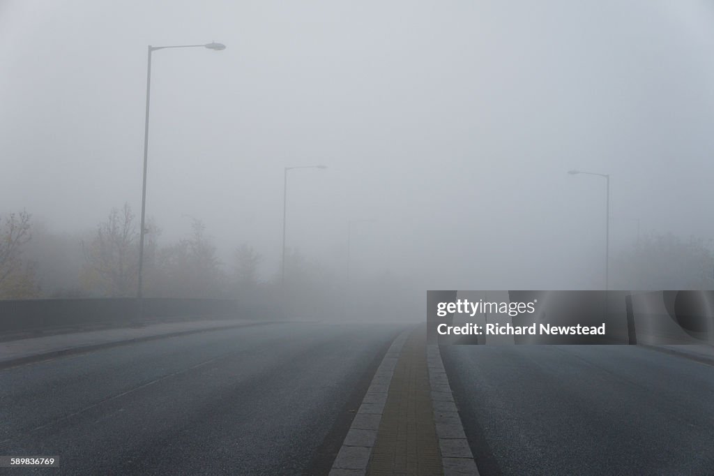 Foggy Road