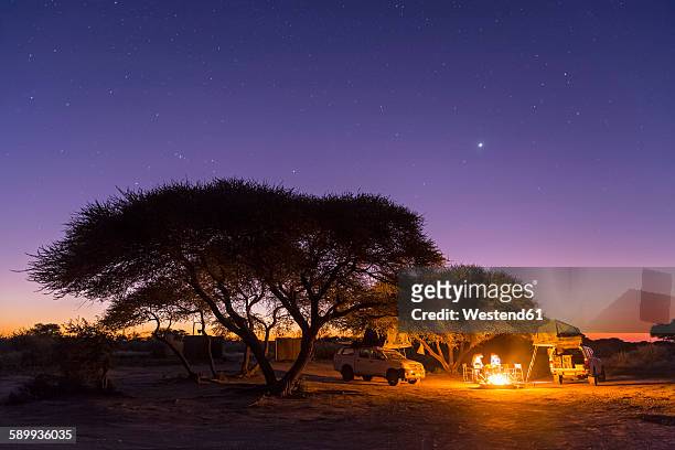 botswana, kalahari, central kalahari game reserve, campsite with campfire under starry sky - kalahari desert stockfoto's en -beelden