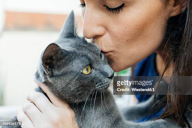 woman kissing russian blue - russian blue katt bildbanksfoton och bilder