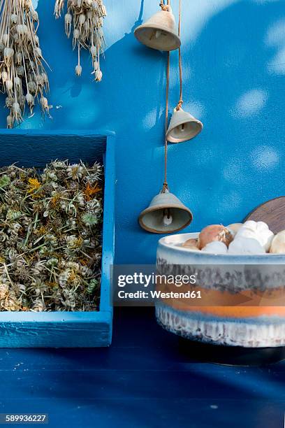 onions and garlic in bowl, sieve with pot marigold and corncockle, drying flowers - agrostemma githago stock pictures, royalty-free photos & images
