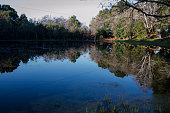 woodland lake reflection