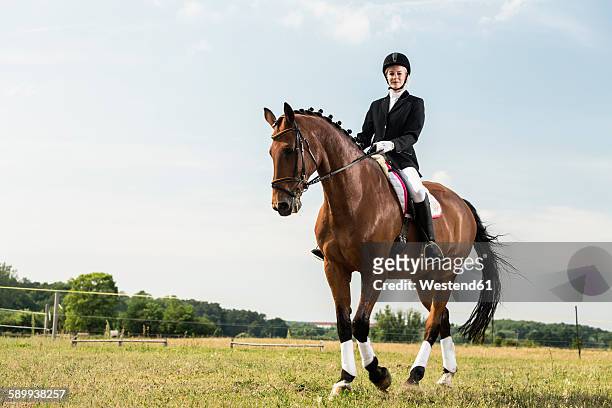 dressage rider on horse - montare un animale montare foto e immagini stock