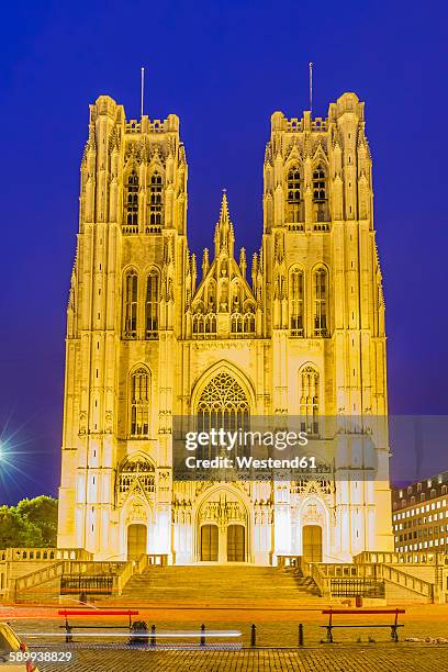 belgium, brussels, cathedral of st michael and st gudula at night - kathedrale st michael und st gudula stock-fotos und bilder