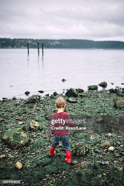 boy exploring rocky beach - boy exploring on beach stock-fotos und bilder