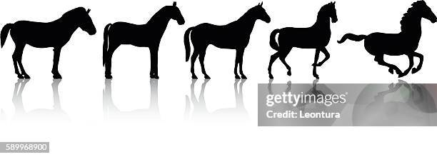 445点の馬 かっこいいイラスト素材 Getty Images 445点の馬 かっこいいイラスト素材 Getty Images