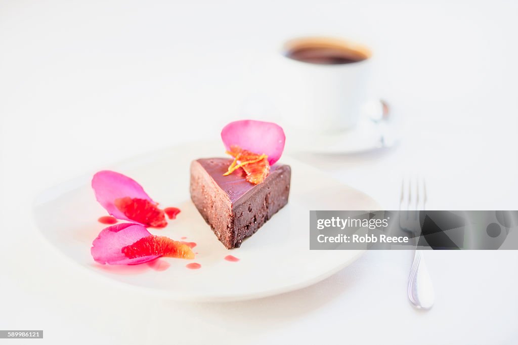 Chocolate dessert on plate with garnish and coffee, Grand Junction, Mesa County, Colorado, USA