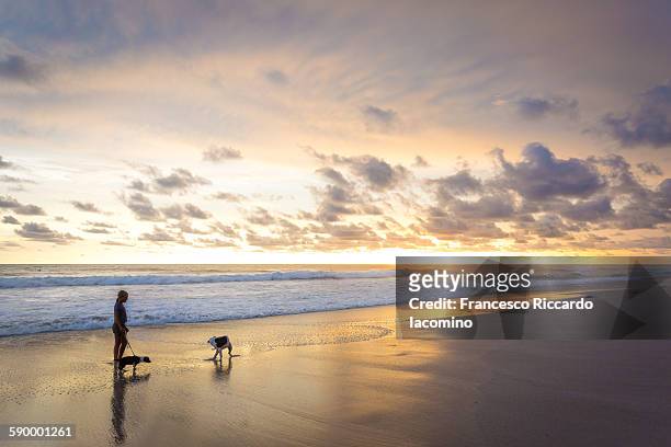 playa santa teresa, costa rica - iacomino costa rica stock pictures, royalty-free photos & images