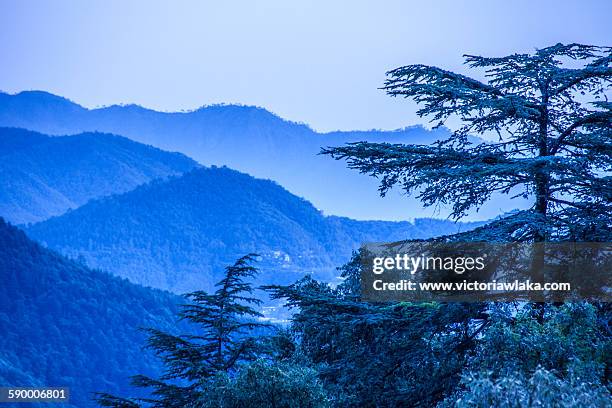 shimla landscape - shimla stock pictures, royalty-free photos & images