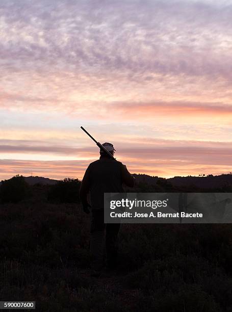 silhouette of a hunter with his shotgun walking down the mountain at dawn - vista dalla parte posteriore di un veicolo foto e immagini stock
