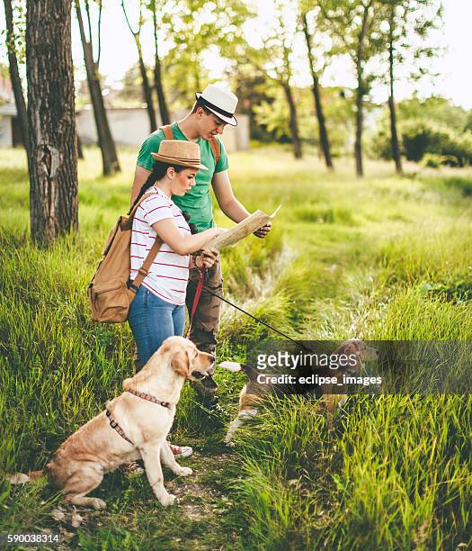 lost in woods with dogs - dog backpack stock pictures, royalty-free photos & images