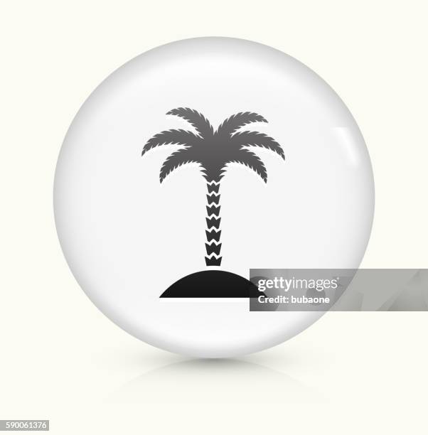 palm tree icon on white round vector button - palm tree shadow stock illustrations