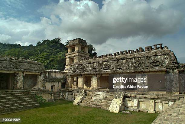 mexico, chiapas, palenque - palenque stock-fotos und bilder