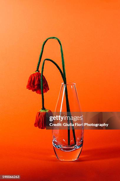 withering orange poppies - poppies in vase stock pictures, royalty-free photos & images