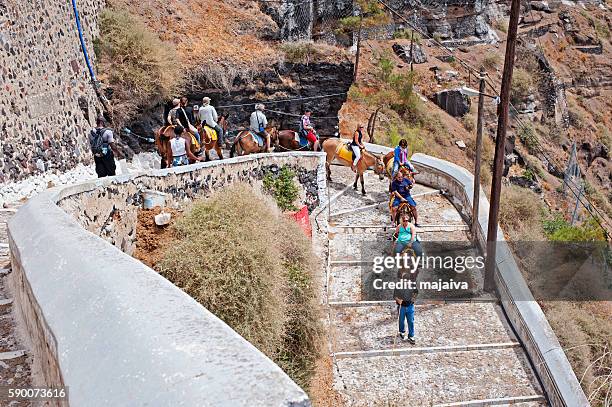 donkey ride in santorini - majaiva stock pictures, royalty-free photos & images