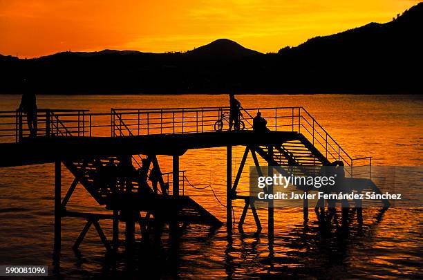the silhouettes of a group of people enjoying the golden reflections and water in a spectacular sunset in the city of san sebastian, basque country, spain. - san sebastian spain bildbanksfoton och bilder