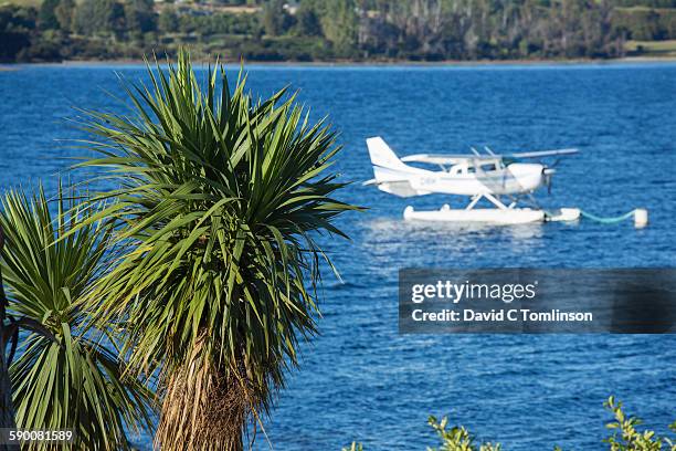 cabbage tree and seaplane, te anau - te anau stock pictures, royalty-free photos & images