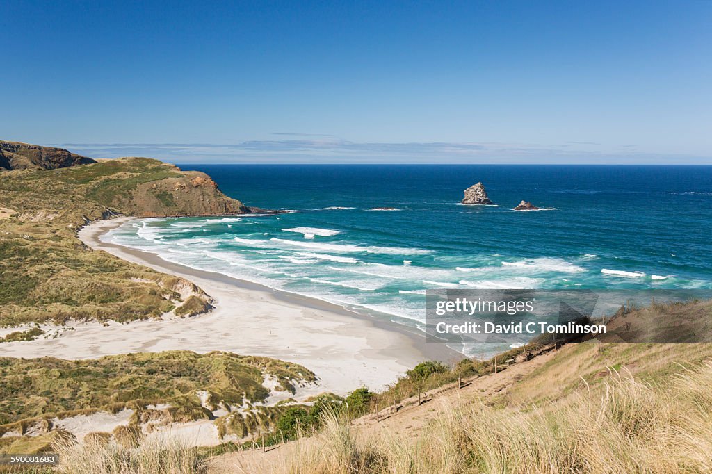 View over Sandfly Bay, Otago Peninsula, Dunedin