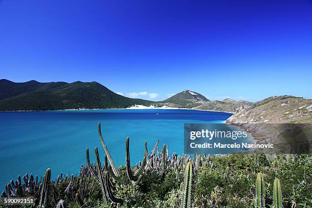 arraial do cabo - atalia stock pictures, royalty-free photos & images