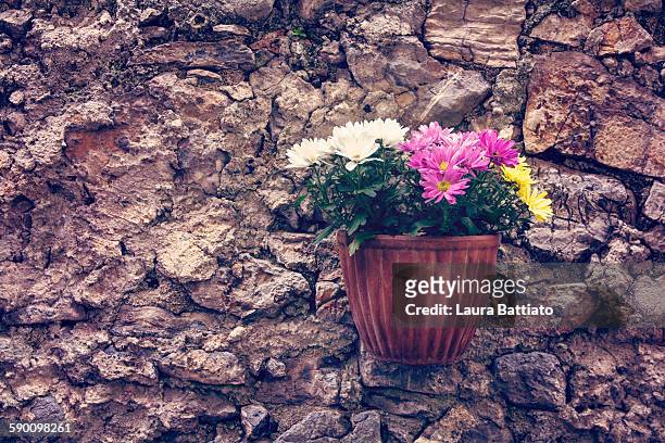 daisies decoration on the stone - garten tragekorb stock-fotos und bilder