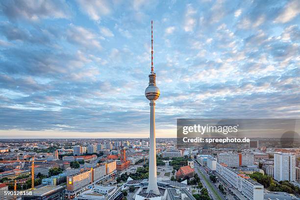 berlin summer skyline with tv tower - fernsehturm berlin stockfoto's en -beelden