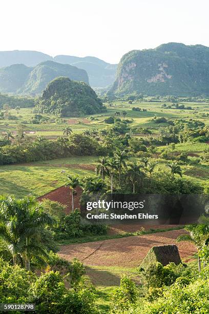 sunset in the valle de vinales - valle de vinales stock pictures, royalty-free photos & images