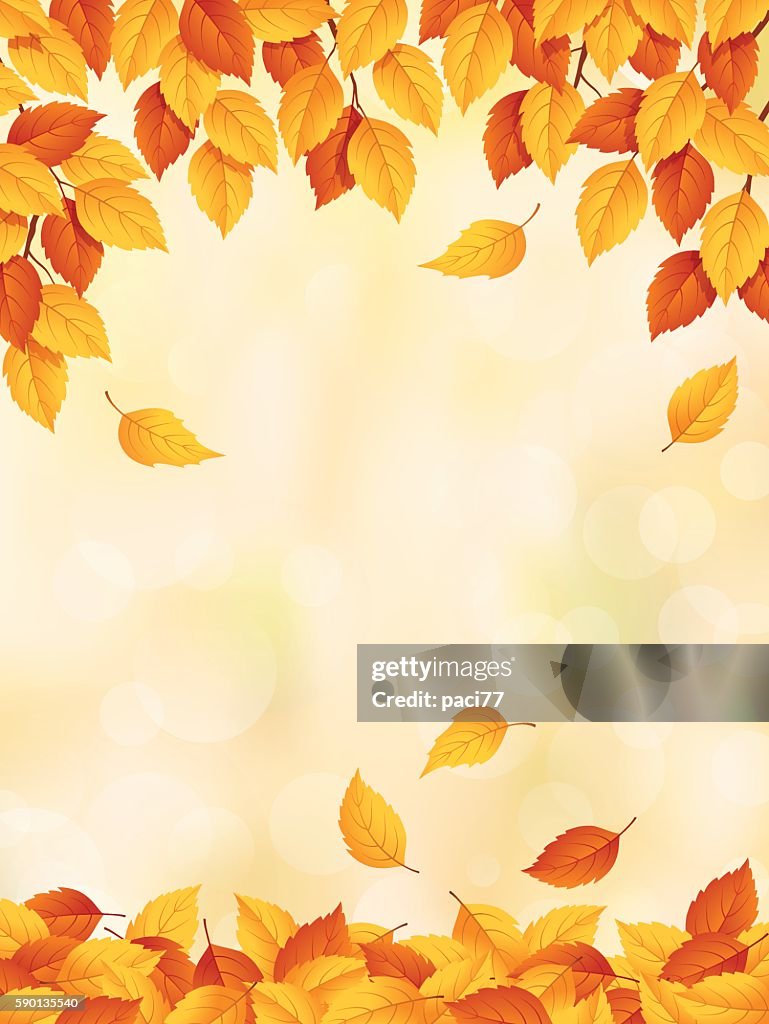 Dibujo de hojas de color amarillo a rojo que caen en otoño
