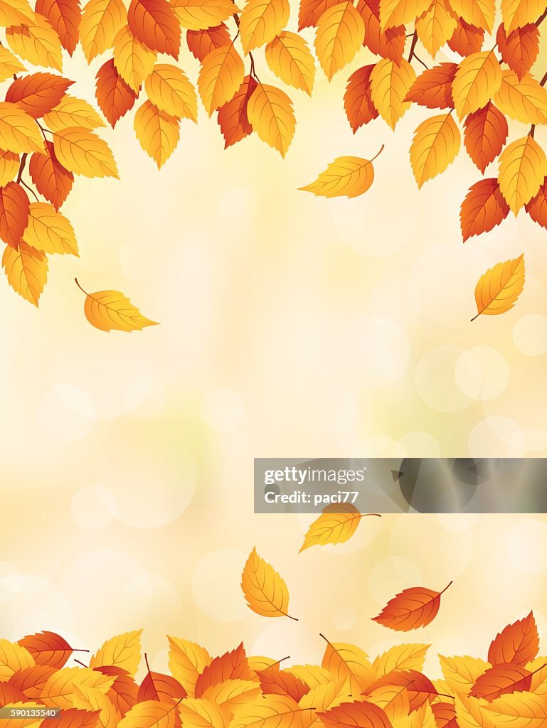 Desenho de folhas amarelas para vermelhas caindo no outono