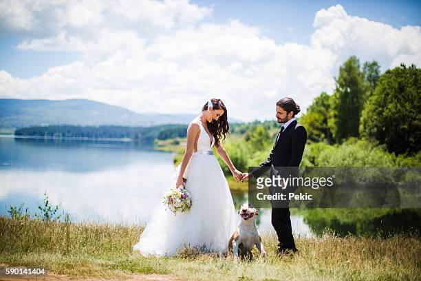bride and groom wedding with dog - fairytale wedding stock pictures, royalty-free photos & images