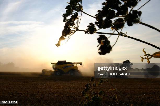 This picture taken on August 13 shows a combine harvester in a wheat field in St Pierre-des-Ifs.