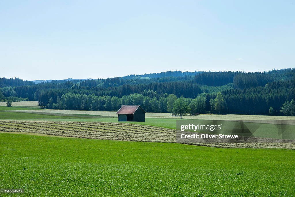 Rolling farmland Augsburg