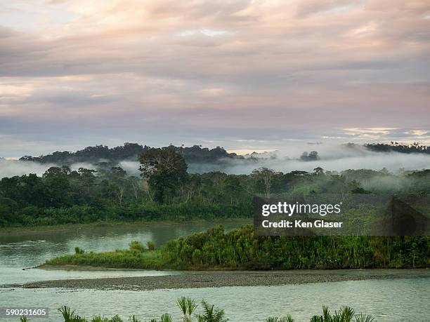 mist jungle and river amazon - amazon rainforest fotografías e imágenes de stock