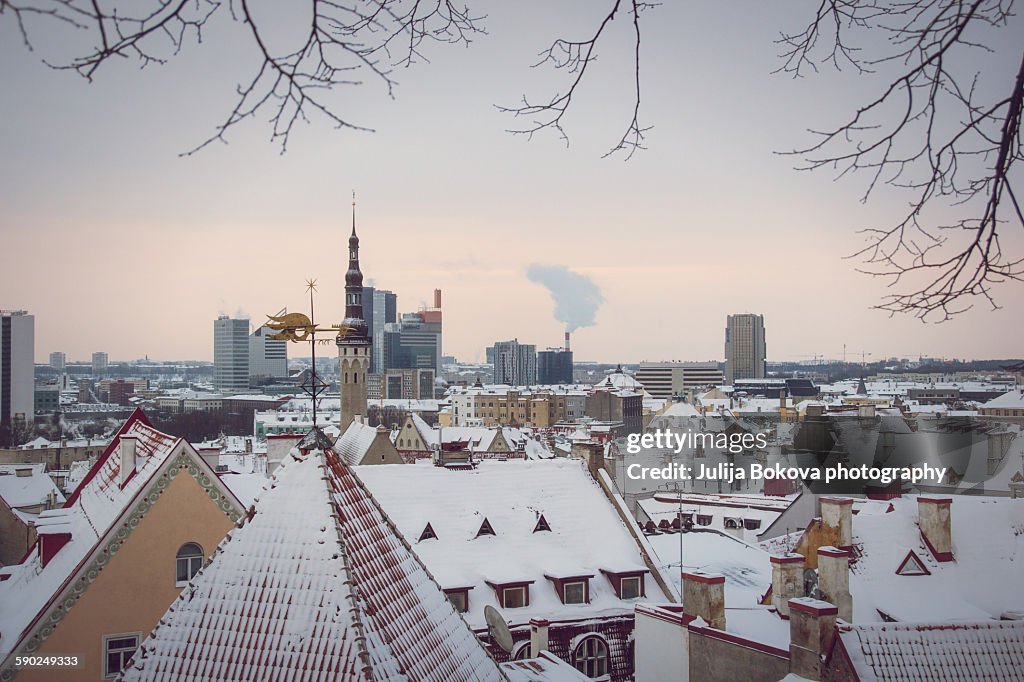 Tallin's roof